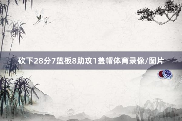 砍下28分7篮板8助攻1盖帽体育录像/图片