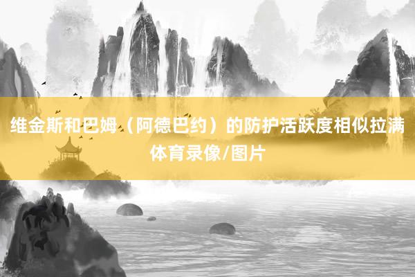 维金斯和巴姆（阿德巴约）的防护活跃度相似拉满体育录像/图片