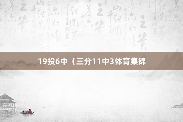 19投6中（三分11中3体育集锦