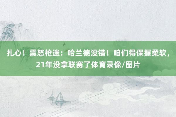 扎心！震怒枪迷：哈兰德没错！咱们得保握柔软，21年没拿联赛了体育录像/图片