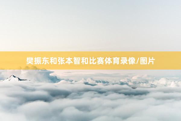 樊振东和张本智和比赛体育录像/图片