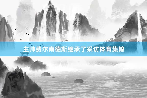 主帅费尔南德斯继承了采访体育集锦
