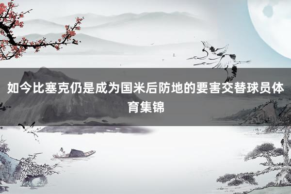 如今比塞克仍是成为国米后防地的要害交替球员体育集锦