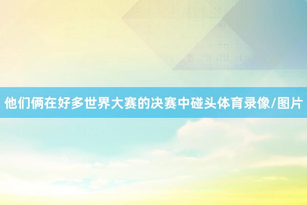 他们俩在好多世界大赛的决赛中碰头体育录像/图片