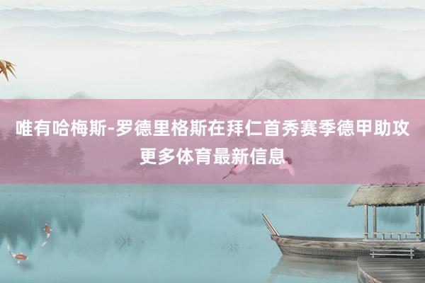 唯有哈梅斯-罗德里格斯在拜仁首秀赛季德甲助攻更多体育最新信息
