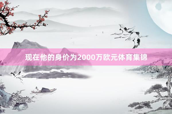 现在他的身价为2000万欧元体育集锦
