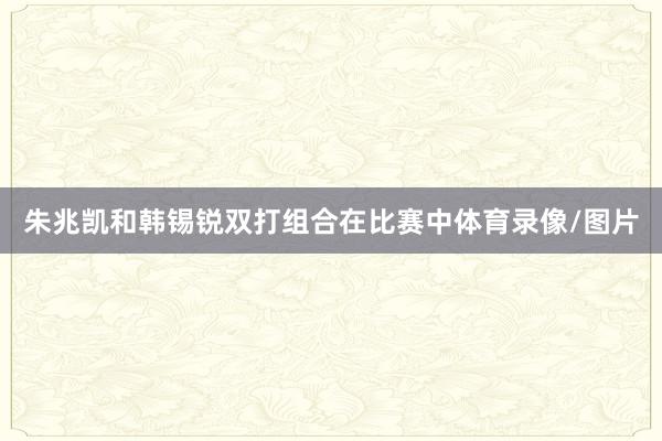 朱兆凯和韩锡锐双打组合在比赛中体育录像/图片