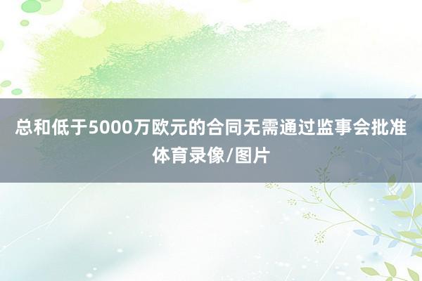 总和低于5000万欧元的合同无需通过监事会批准体育录像/图片