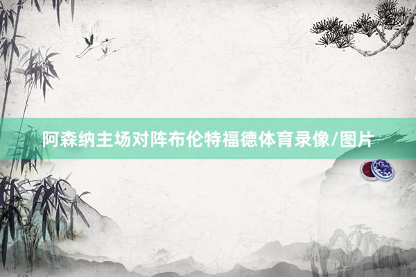 阿森纳主场对阵布伦特福德体育录像/图片
