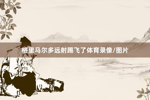 格里马尔多远射踢飞了体育录像/图片