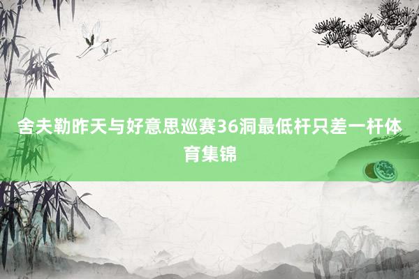 舍夫勒昨天与好意思巡赛36洞最低杆只差一杆体育集锦