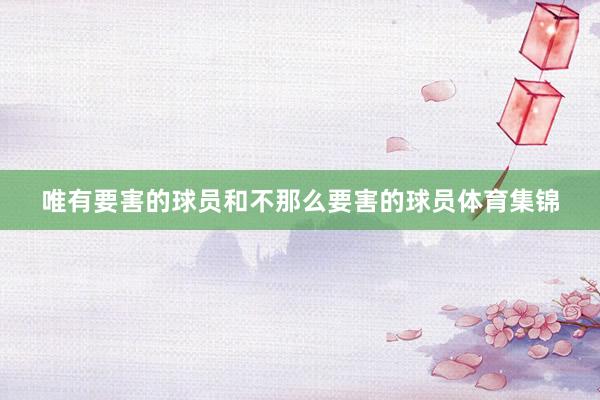 唯有要害的球员和不那么要害的球员体育集锦