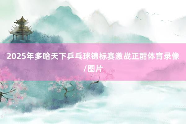 2025年多哈天下乒乓球锦标赛激战正酣体育录像/图片