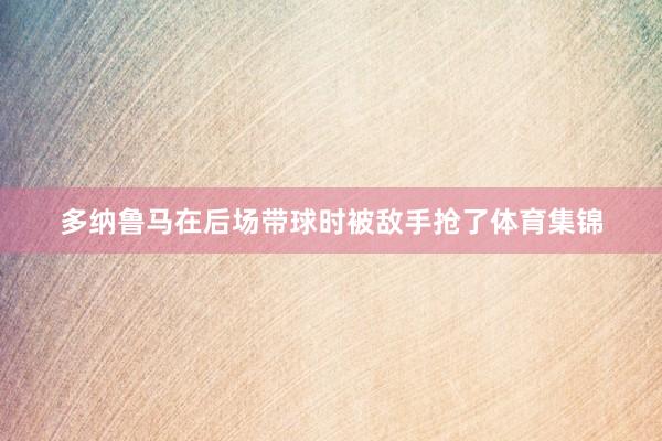 多纳鲁马在后场带球时被敌手抢了体育集锦