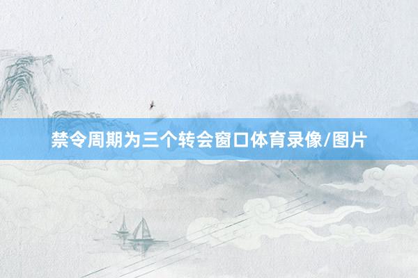 禁令周期为三个转会窗口体育录像/图片