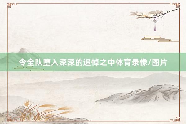 令全队堕入深深的追悼之中体育录像/图片