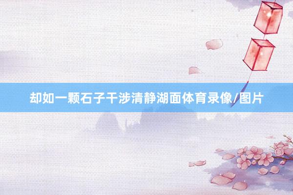 却如一颗石子干涉清静湖面体育录像/图片