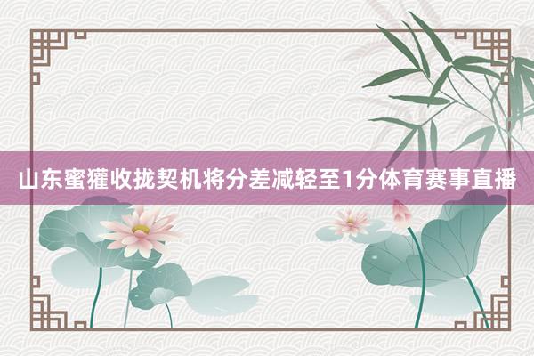 山东蜜獾收拢契机将分差减轻至1分体育赛事直播