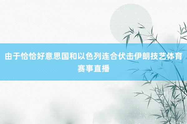 由于恰恰好意思国和以色列连合伏击伊朗技艺体育赛事直播