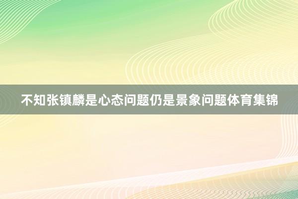 不知张镇麟是心态问题仍是景象问题体育集锦