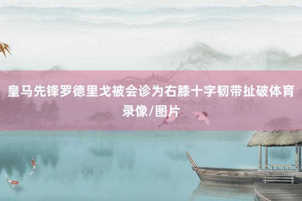 皇马先锋罗德里戈被会诊为右膝十字韧带扯破体育录像/图片