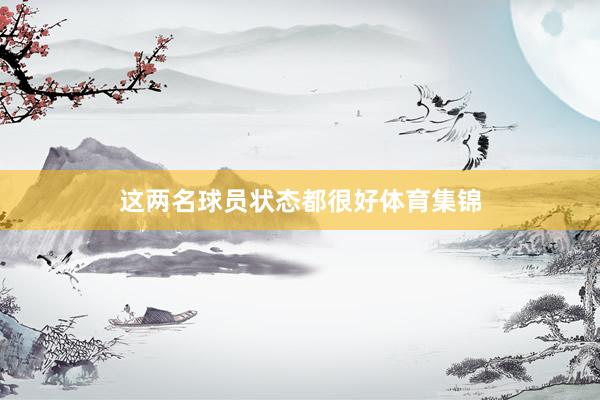 这两名球员状态都很好体育集锦
