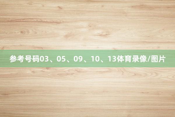 参考号码03、05、09、10、13体育录像/图片