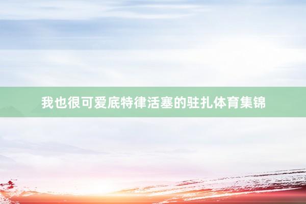 我也很可爱底特律活塞的驻扎体育集锦